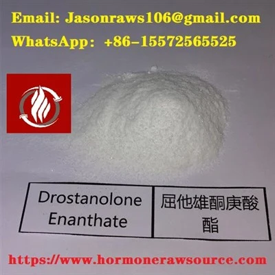 Drostanolone Enanthate Powder Bodybuilding CAS:13425-31-5